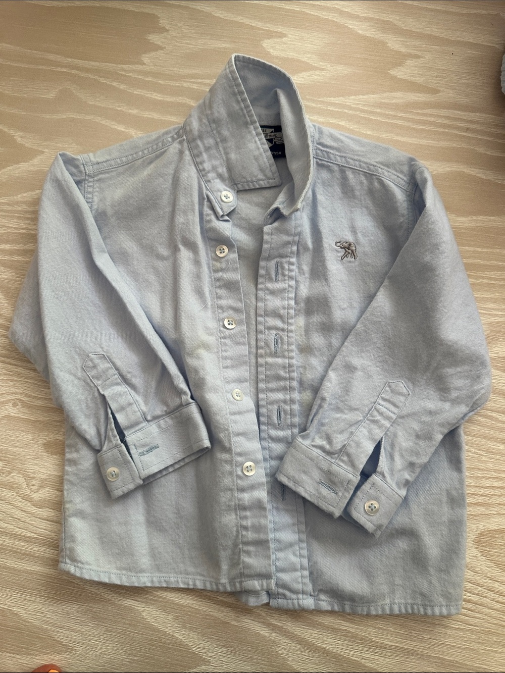 Thomas Brown Light Blue Kids Button-Down Shirt 18-24 mths